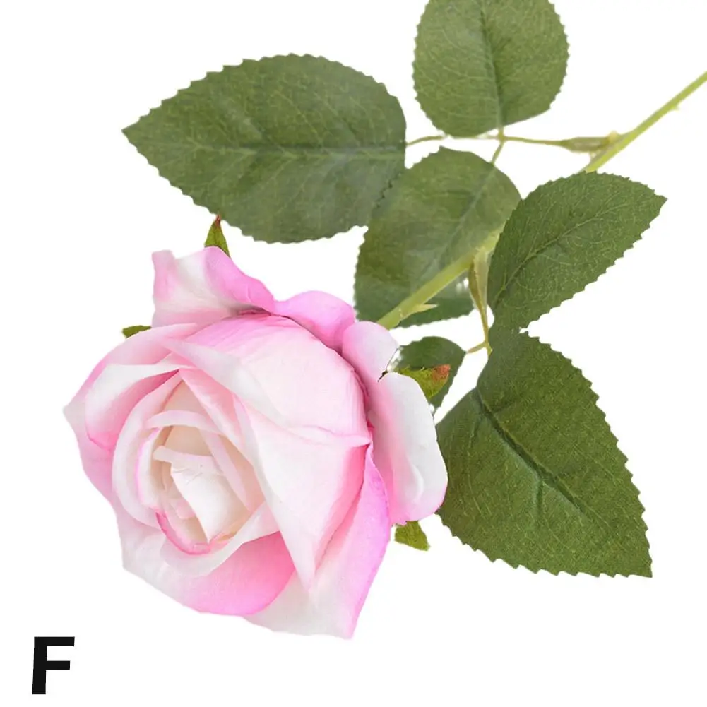 Свети Валентин творчески подарък розово злато роза трае рози персонализирани сватба сватба завинаги любов приятелка благоприятства любовник B0S5 5