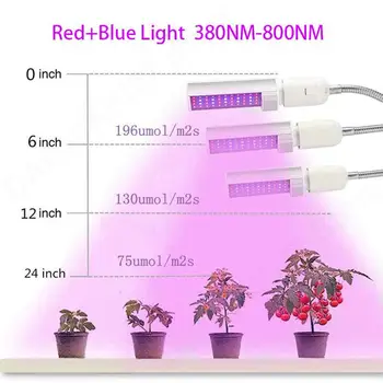 3-HEAD вътрешен LED расте светлина пълен спектър растеж клип Fitolampy отглеждане фито лампа хидро кутия за cultivo вътрешен growbox V27 3