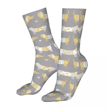 Женски спортен дакел куче сиви чорапи памук щастливи жени чорапи 2