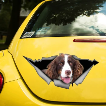 Кафяв и бял спрингер шпаньол куче 3D Decal смешно кола стикер водоустойчив авто декори на броня задното стъкло лаптоп #S60466